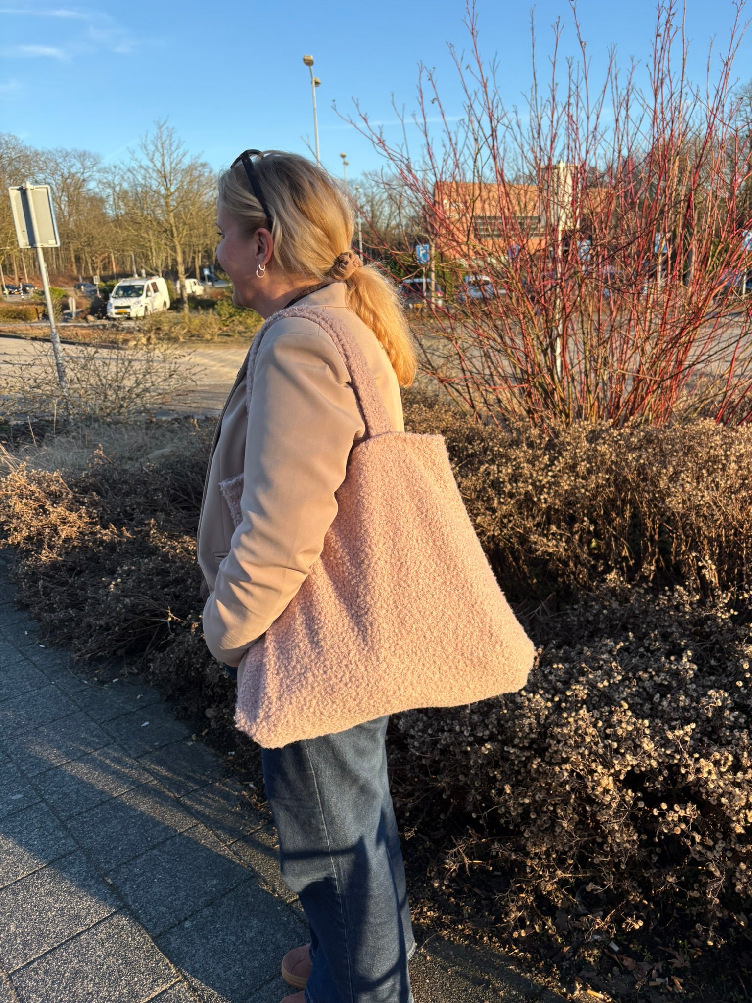 Boucle Bag